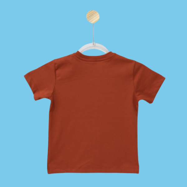 Blusa Básica - Laranja Ferrugem - Imagem 2